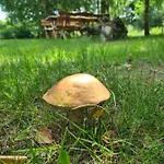 ファームステイ Agroturystyka Wrecza Wrecza