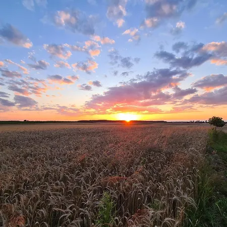 Wręcza Gospodarstwo agroturystyczne