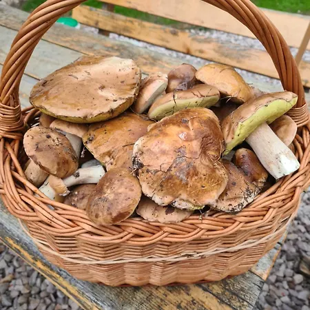 Gospodarstwo agroturystyczne Wręcza Wrecza