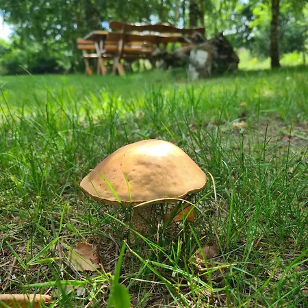 Bauernhof Agroturystyka Wrecza Wrecza