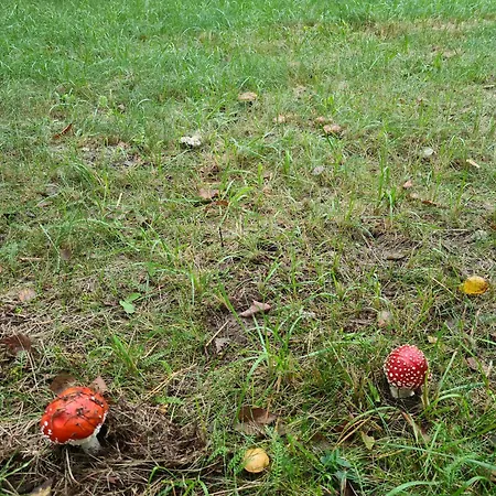 Bauernhof Agroturystyka Wrecza