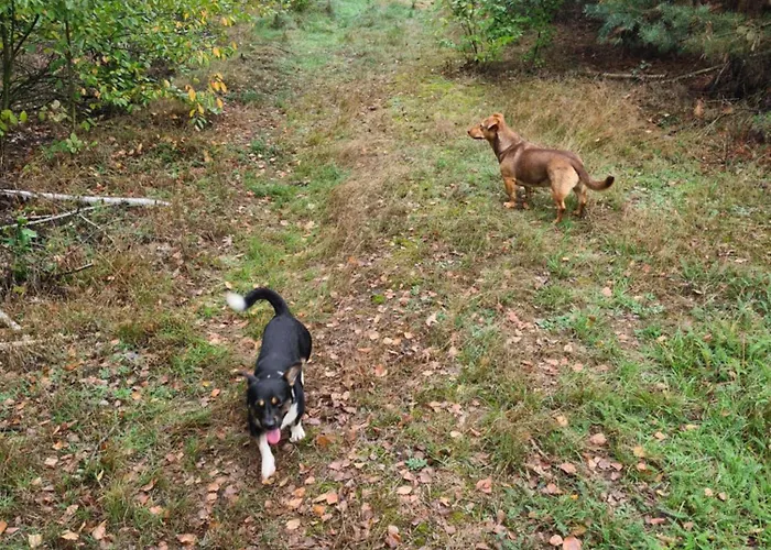 Agroturystyka Wrecza Farma *