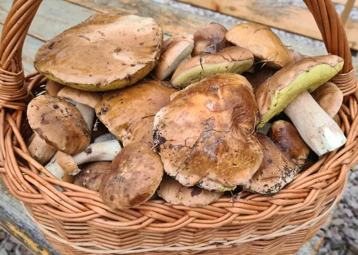 Gospodarstwo agroturystyczne Wręcza Wrecza