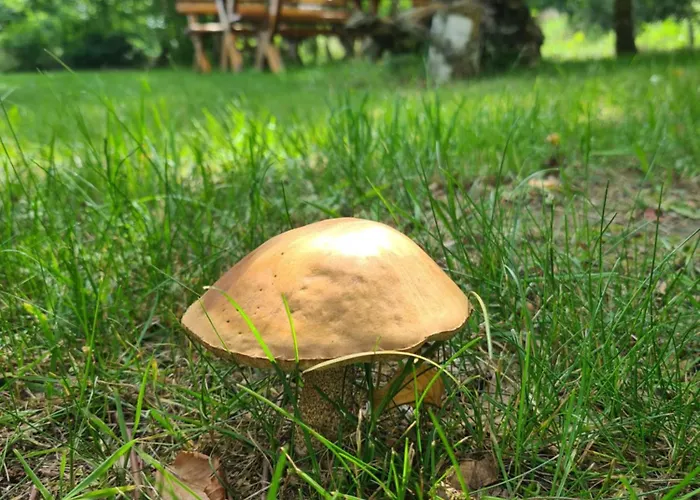 Gospodarstwo agroturystyczne Wręcza Wrecza