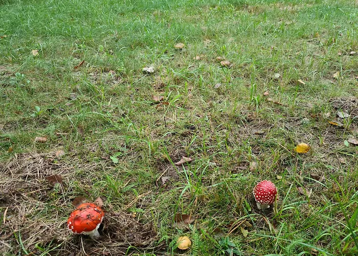 Gospodarstwo agroturystyczne Wręcza