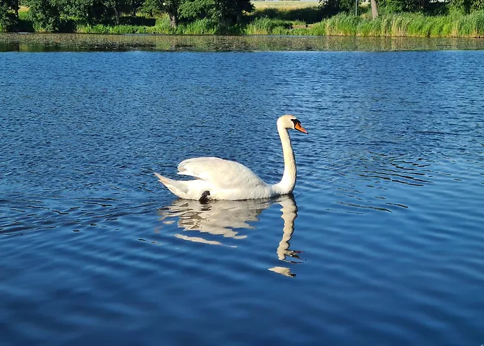 Agroturystyka Wrecza